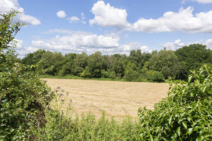 Photo 20- click for photo gallery